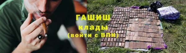 стаф Белокуриха