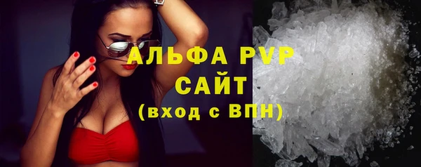 стаф Белокуриха