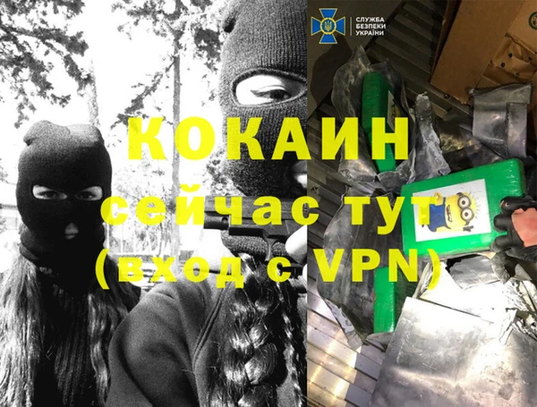 спайс Богданович
