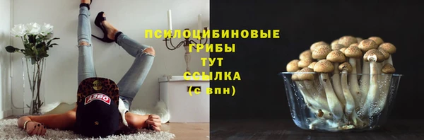 стаф Белокуриха