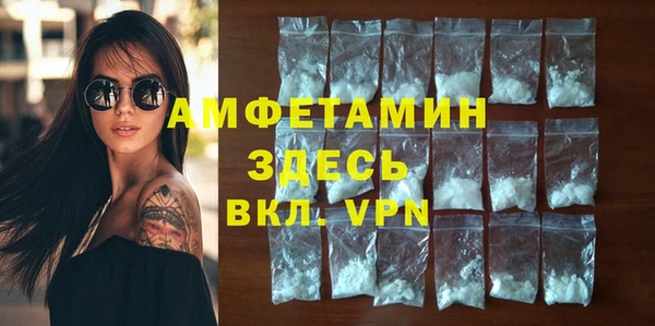 спайс Богданович
