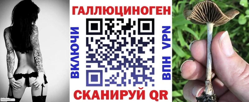 наркота  это Telegram  Галлюциногенные грибы Cubensis  Болотное 
